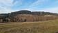 sova lesná (obyčajná) (21.4.2023)