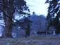 sova lesná (obyčajná) (23.4.2023)