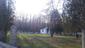 sova lesná (obyčajná) (13.5.2023)