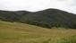 sova lesná (obyčajná) (10.3.2023)