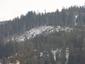 sova lesná (obyčajná) (24.3.2023)