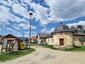 bocian biely (26.7.2023)