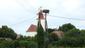 bocian biely (30.7.2023)