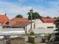 bocian biely (13.5.2023)