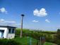 bocian biely (15.5.2023)