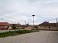 bocian biely (21.6.2023)