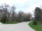 sova lesná (obyčajná) (7.4.2023)