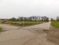 sova lesná (obyčajná) (23.3.2023)