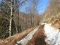 sova dlhochvostá (5.4.2023)