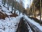 sova dlhochvostá (2.3.2023)