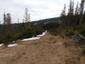 sova lesná (obyčajná) (20.4.2023)