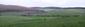 sova lesná (obyčajná) (19.3.2023)