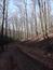 sova lesná (obyčajná) (31.3.2023)
