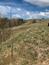 sova dlhochvostá (13.4.2023)