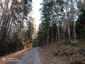 sova dlhochvostá (13.4.2023)
