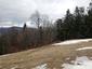 sova dlhochvostá (19.3.2023)