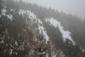 sova dlhochvostá (21.3.2023)