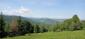 sova lesná (obyčajná) (28.4.2023)