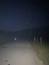 sova lesná (obyčajná) (5.3.2023)