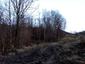 sova lesná (obyčajná) (2.4.2023)