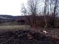 sova lesná (obyčajná) (24.4.2023)