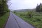 trasochvost biely (6.6.2023)