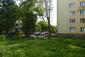 Vrana popolavá (29.5.2023)