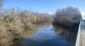 kršiak rybár (rybožravý) (16.4.2023)