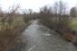 kršiak rybár (rybožravý) (17.4.2023)