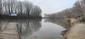 čorík čierny (20.3.2023)