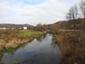 kormorán veľký (12.11.2022)