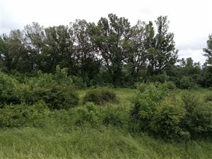 Pohľad na časť TML