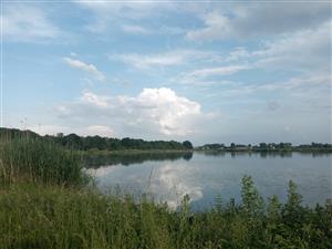 TML Číčovské rybníky, foto: 20.5.2024, J.Lengyel