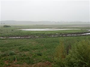 TML Žitavský luh, pohľad z JV pozorovacej veže. Foto: 22.5.2024 (J.Lengyel).