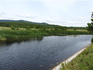  TML Bačkov-mokraď