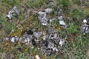 Záber na monitorovaný biotop.