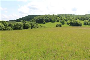 Záber na monitorovaný biotop.