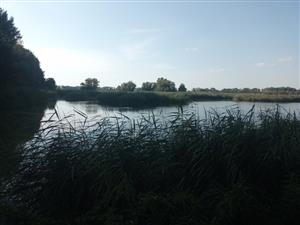 TML Veľkoblahovské rybníky, pohľad na južnú časť. Foto: 16.7.2024, J.Lengyel.