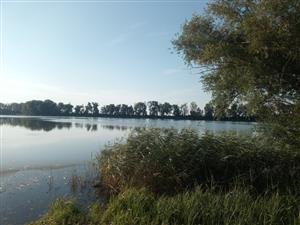 TML Veľkoblahovské rybníky, pohľad na strednú časť. Foto: 16.7.2024, J.Lengyel.