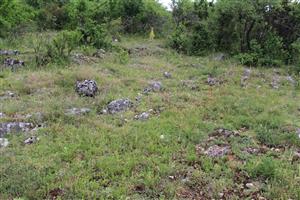 Záber na monitorovaný biotop.