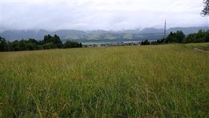 Východná časť polygónu