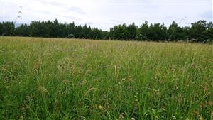 Západná časť polygónu