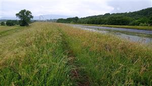 Pohľad na ľavobrežnú stranu kanála