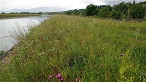 Pohľad na pravobrežnú stranu kanála