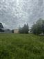 bocian biely (28.6.2023)