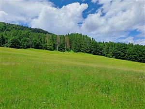 Pohľad na TML z južnej strany 