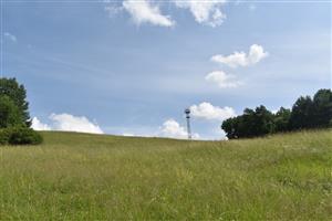 Celkový pohľad na monitorovanú lokalitu.
