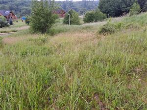 Ruderalizované časti biotopu bez menežmentu