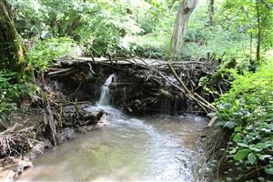 zásahy do hydrologického režímu