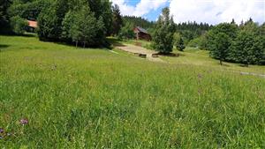 Pohľad na lokalitu